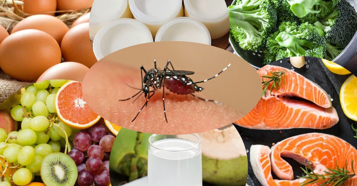 Góc giải đáp: Sốt xuất huyết nên ăn gì?