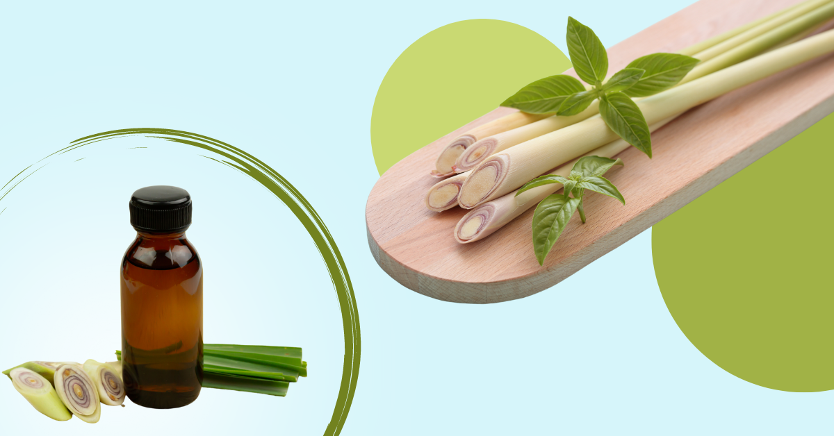 Bật mí cho mẹ cách làm tinh dầu sả siêu dễ tại nhà