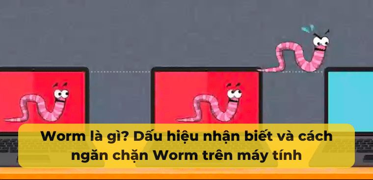 Worm là gì? Cách nhận biết và ngăn chặn Worm trên máy tính
