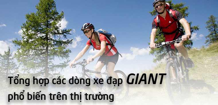 Tổng hợp các dòng xe đạp Giant phổ biến trên thị trường