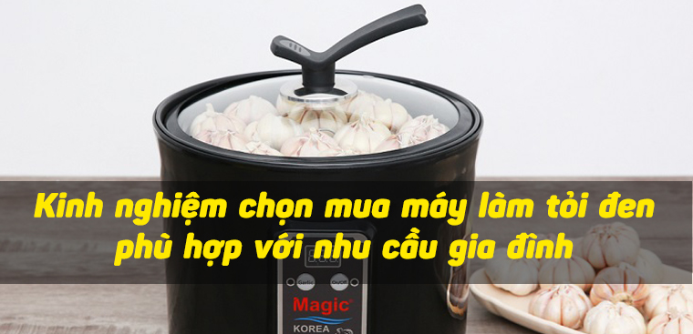Kinh nghiệm chọn mua máy làm tỏi đen tốt, phù hợp với nhu cầu gia đình