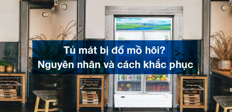 Tủ mát bị đổ mồ hôi? Nguyên nhân và cách khắc phục