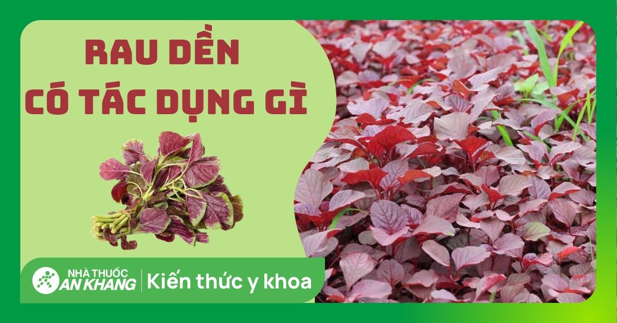 Rau dền có tác dụng gì? 8 công dụng của rau dền với sức khỏe