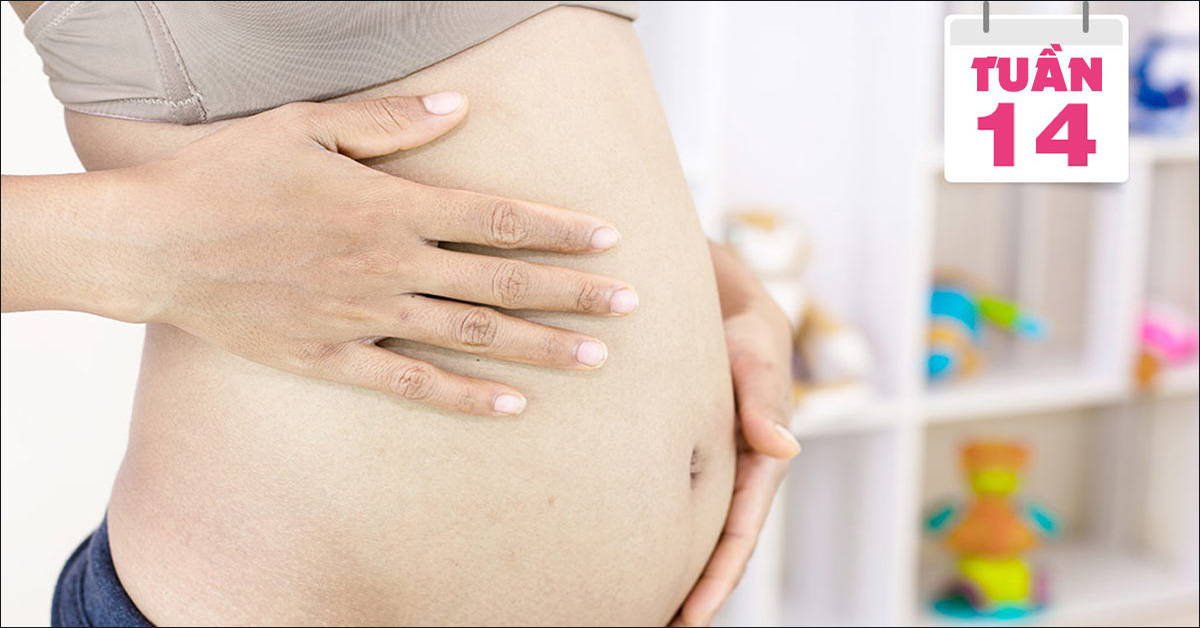 Tìm hiểu về sự phát triển của thai nhi 14 tuần tuổi