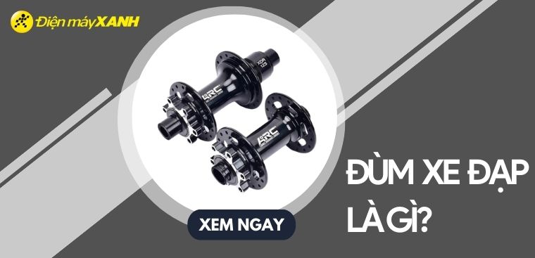 Đùm xe đạp là gì? Phân biệt các loại đùm xe đạp phổ biến hiện nay