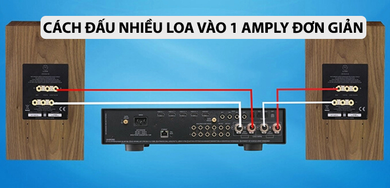 Cách đấu nhiều loa vào 1 amply đơn giản, đúng kỹ thuật