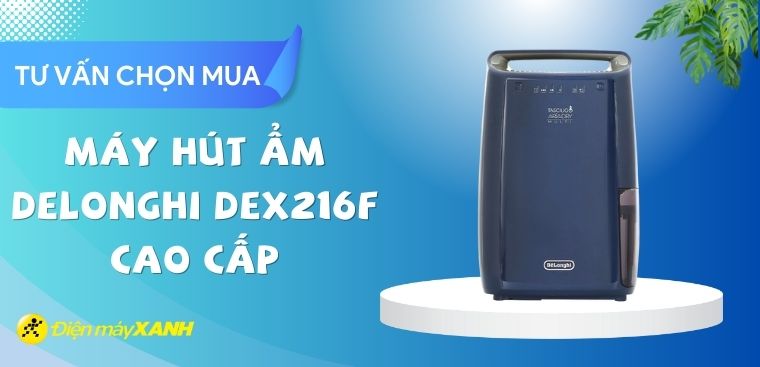 Có nên mua máy hút ẩm Delonghi DEX216F không? 6 lý do nên mua
