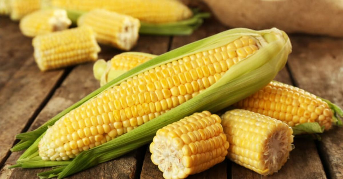 Giải đáp: Tiểu đường thai kỳ ăn bắp được không? Mẹ nên lưu ý gì khi ăn bắp