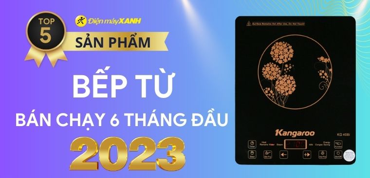 Top 5 bếp từ bán chạy nhất 6 tháng đầu năm 2023 tại Điện máy XANH