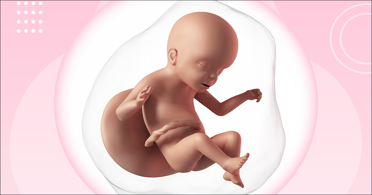 Thai nhi 23 tuần phát triển như thế nào và mẹ bầu cần lưu ý gì?