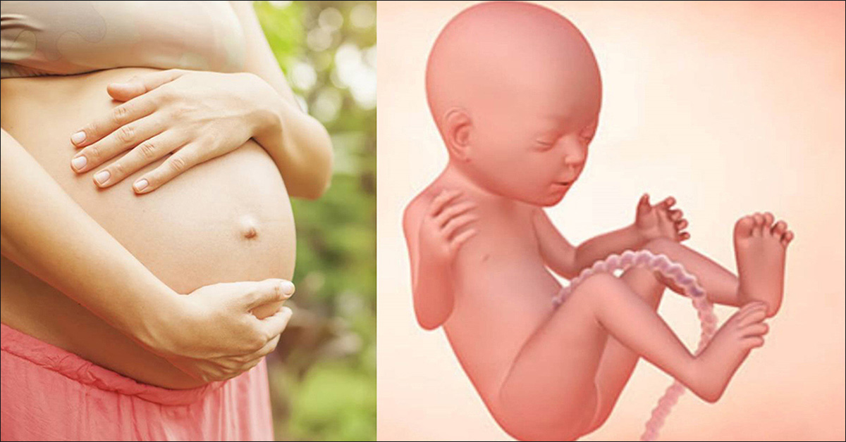 Thai nhi 25 tuần phát triển như thế nào? Mẹ cần lưu ý gì?