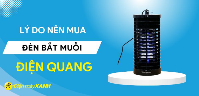 Có nên mua đèn bắt muỗi Điện Quang? 5 lý do nên mua đèn bắt muỗi Điện Quang cho gia đình