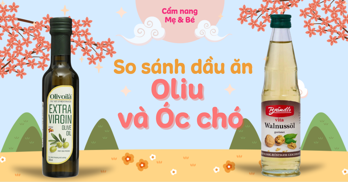 So sánh dầu oliu và dầu óc chó, chọn loại nào cho bé ăn dặm?