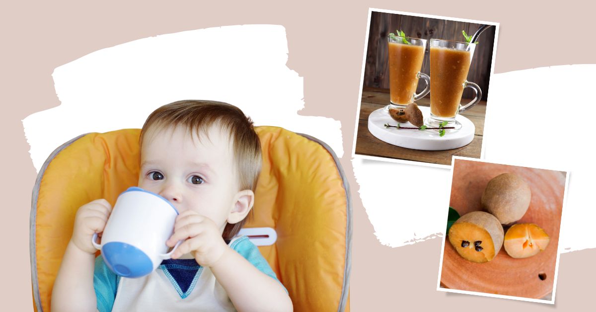 Bật mí 5+ cách làm sinh tố sapoche cho bé cực hấp dẫn tại nhà