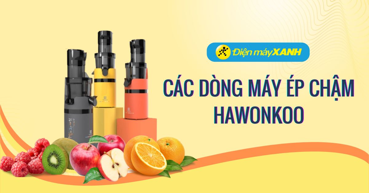 Tổng quan các máy ép chậm Hawonkoo kinh doanh tại Điện máy XANH