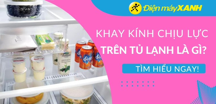 Khay kính chịu lực trên tủ lạnh là gì? Có lợi ích gì?