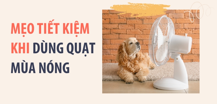 8 mẹo tiết kiệm điện khi dùng quạt trong mùa nóng