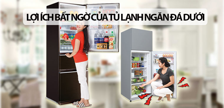 5 lợi ích bất ngờ của tủ lạnh ngăn đá dưới