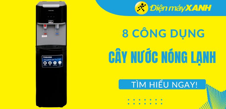 8 công dụng cây nước nóng lạnh mà bạn không nên bỏ lỡ