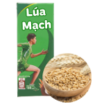 Sữa lúa mạch