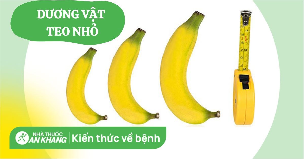Nguyên nhân dương vật teo nhỏ, có nguy hiểm không và cách điều trị