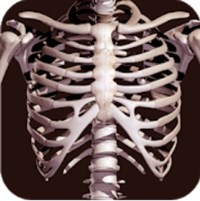 TOP 8 app học giải phẫu 3D hiệu quả, tốt nhất cho Android, iOS