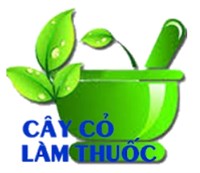 Cây cỏ làm thuốc: Tra cứu cây thuốc thiên nhiên