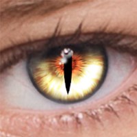 FoxEyes - Ứng dụng thay đổi kiểu mắt độc đáo