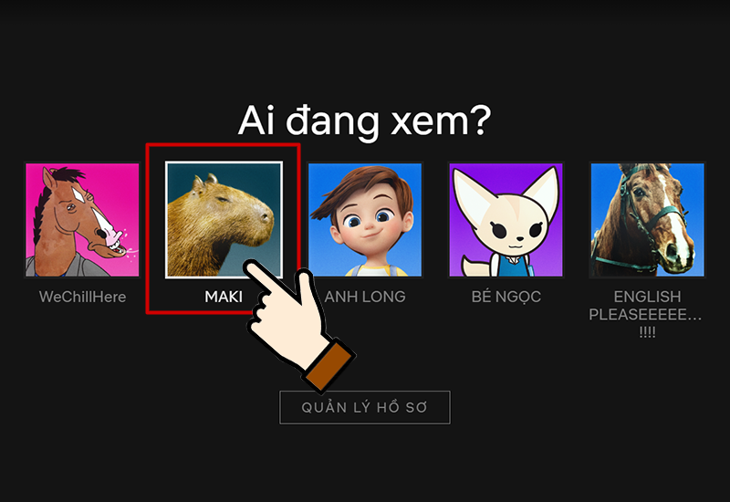 Chọn hồ sơ bất k&igrave;