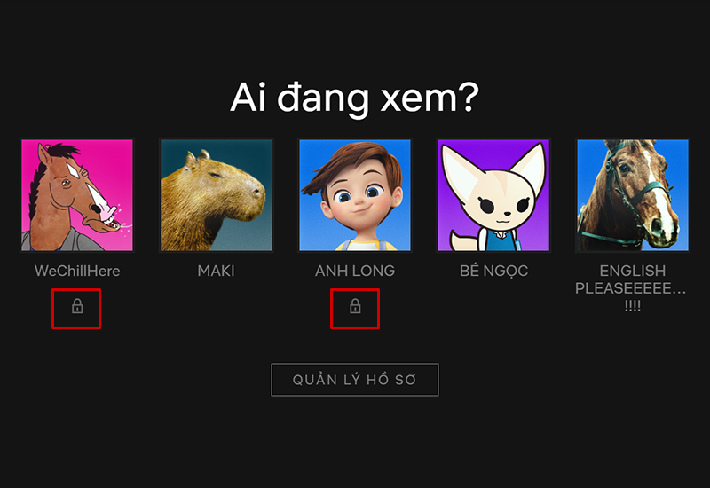 Hiển thị hồ sơ bị kh&oacute;a bằng m&atilde; PIN