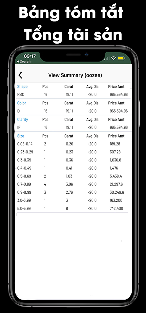 Bảng t&oacute;m tắt tổng gi&aacute; trị t&agrave;i sản