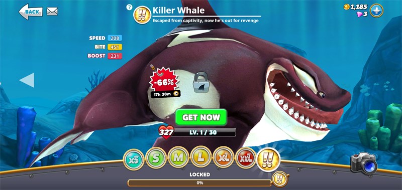 Cá mập Killer Whale với kích thước khổng lồ