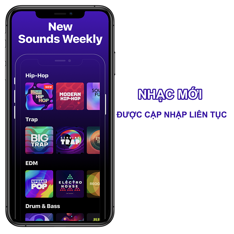  Nhạc mới được cập nhập li&ecirc;n tục mỗi tuần