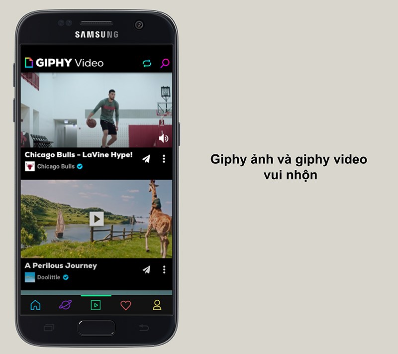 Giphy ảnh và giphy video vui nhộn