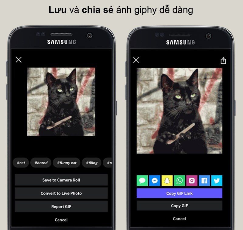 Lưu và chia sẻ ảnh giphy dễ dàng