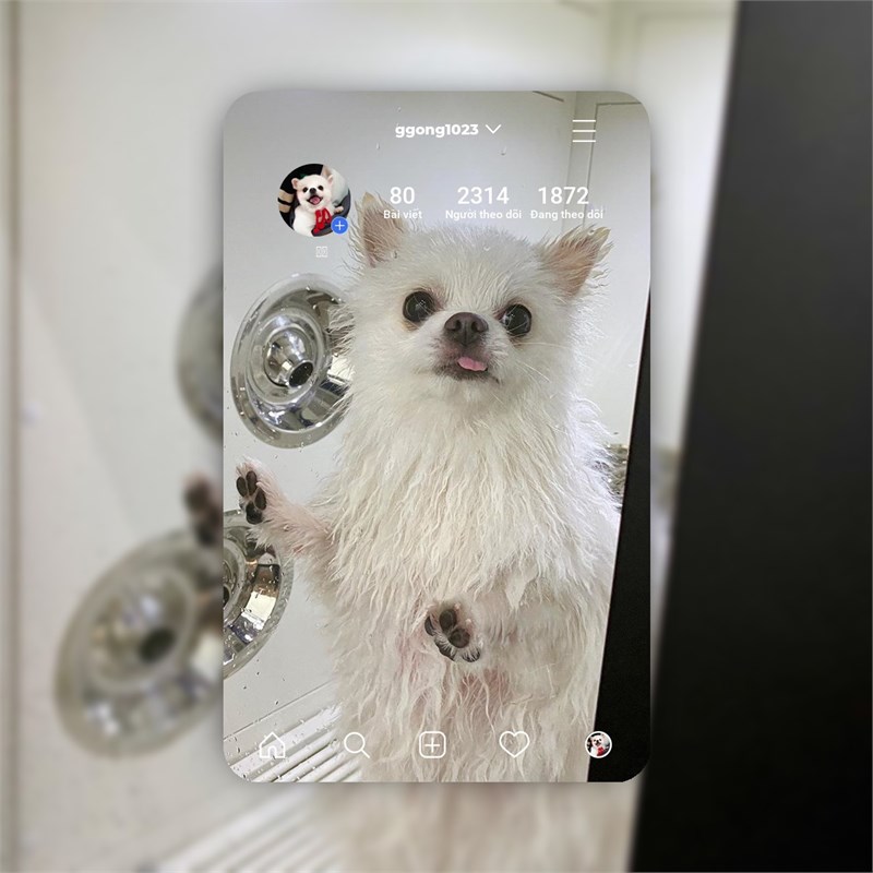 Inscard từ @ggong1023