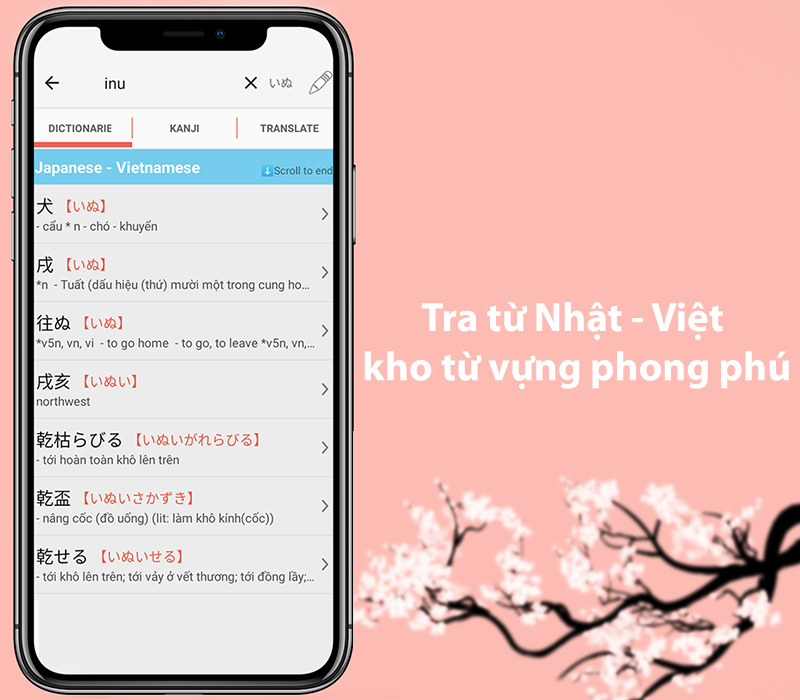 Từ điển Nhật - Việt