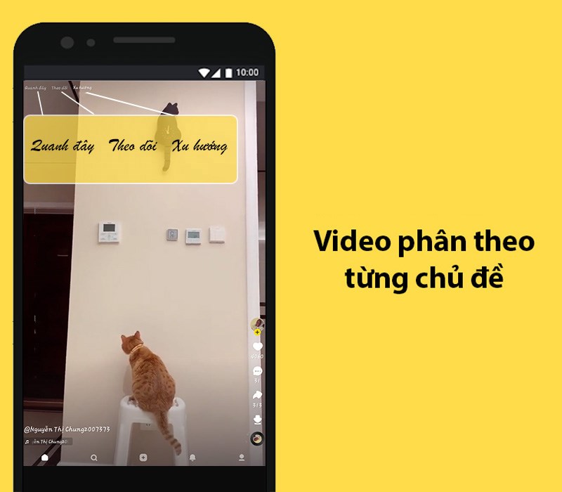 Video ph&acirc;n theo từng chủ đề