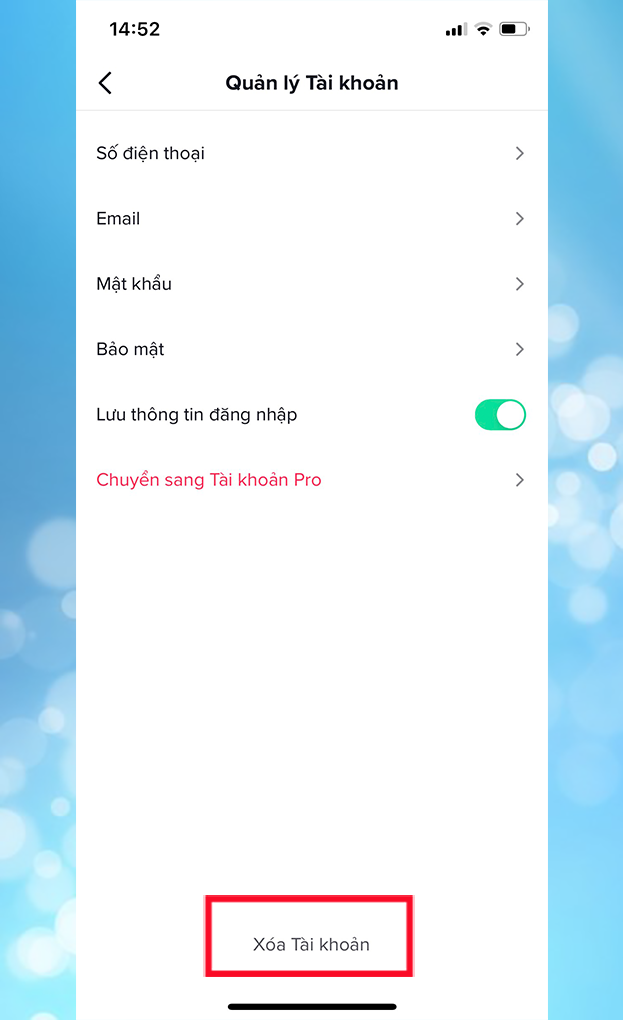 Chọn nút Xóa tài khoản phía bên dưới