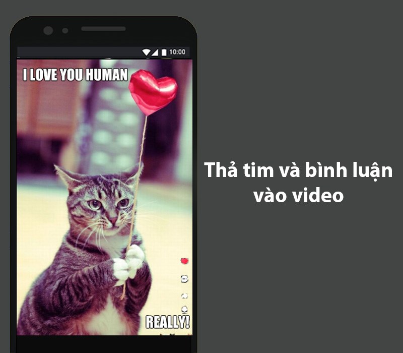 Thả tim, b&igrave;nh luận v&agrave; theo d&otilde;i