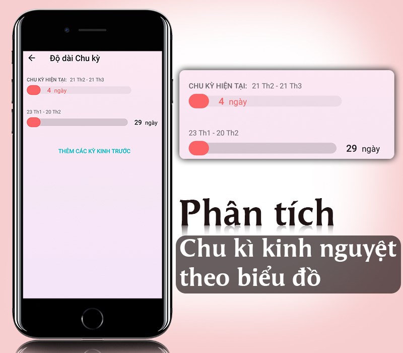 Ph&acirc;n t&iacute;ch chu kỳ kinh nguyệt tại FLO