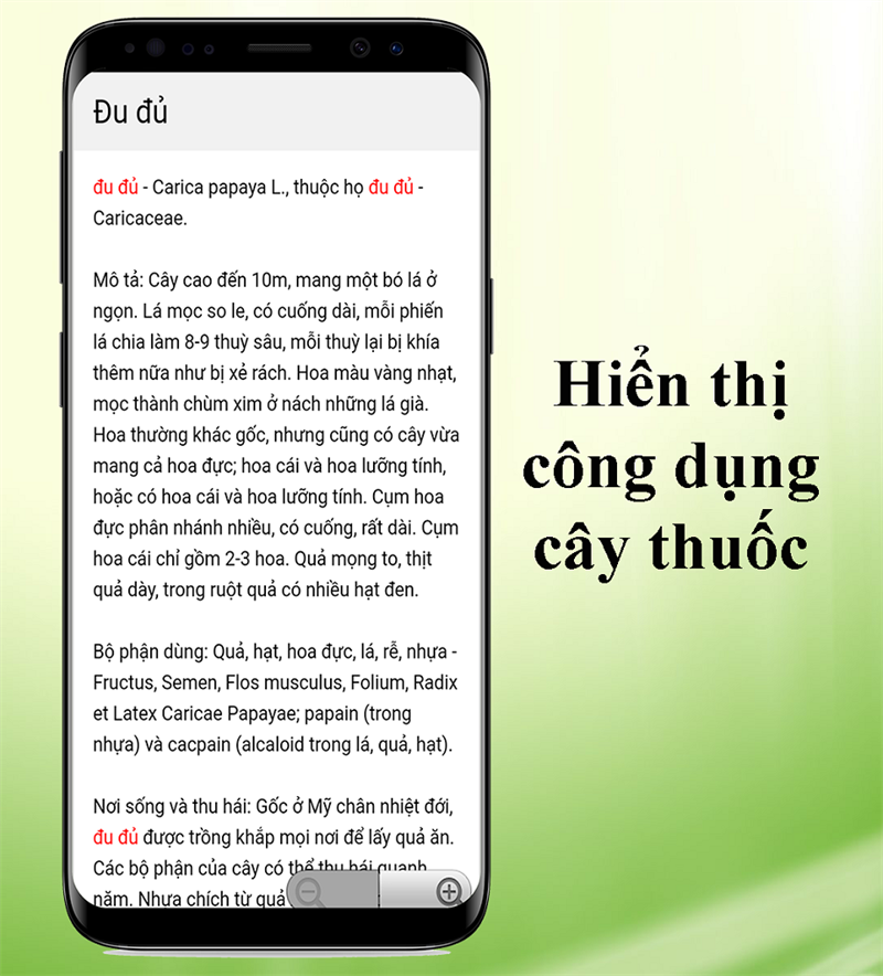 Đa dạng loại cây thuốc, kèm theo công dụng và hình ảnh