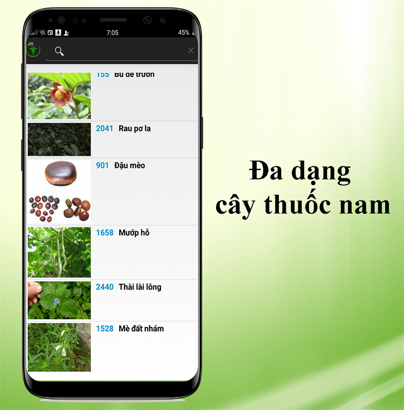 Đa dạng loại cây thuốc, kèm theo công dụng và hình ảnh