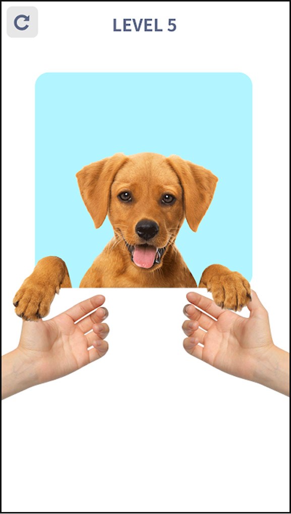 Đuổi h&igrave;nh bắt chữ