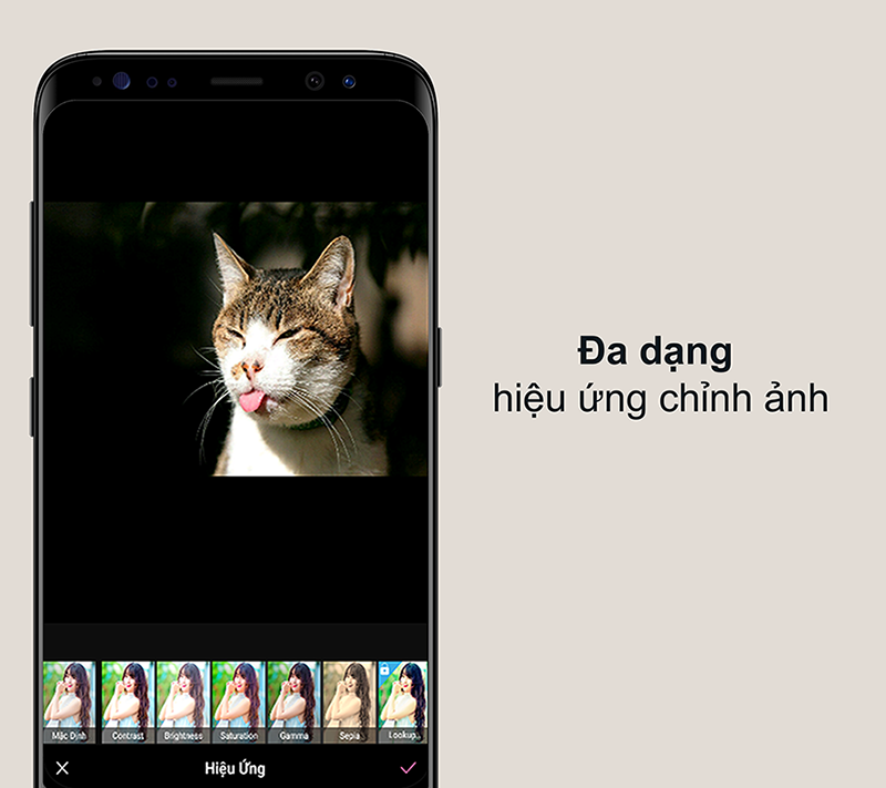Viết Chữ L&ecirc;n Ảnh đa dạng hiệu ứng chỉnh ảnh