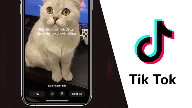 Hướng dẫn Cách đặt video Tiktok làm hình nền cho điện thoại của bạn