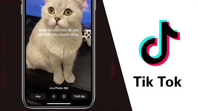 Hướng dẫn cách làm hình nền điện thoại bằng video tiktok độc đáo và nghệ thuật