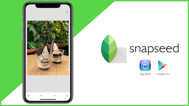 Những điều cần biết về App xoá phông Snapseed Trên điện thoại di động.