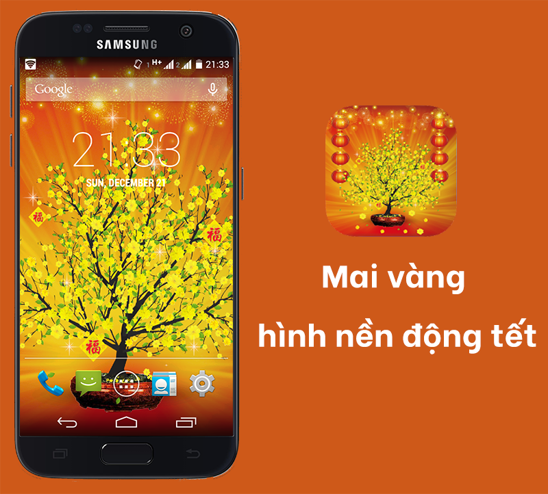 Ứng dụng mai v&agrave;ng h&igrave;nh nền động