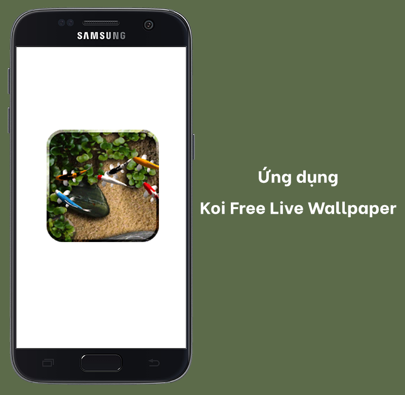 Ứng dụng Koi Free Live Wallpaper